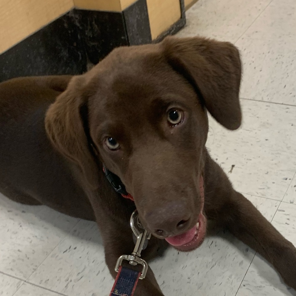 Meet your Posher, Macie